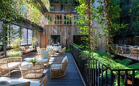The Mandrake Hotel